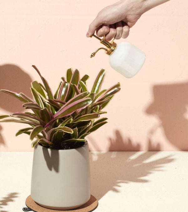 Plow & Hearth Misters