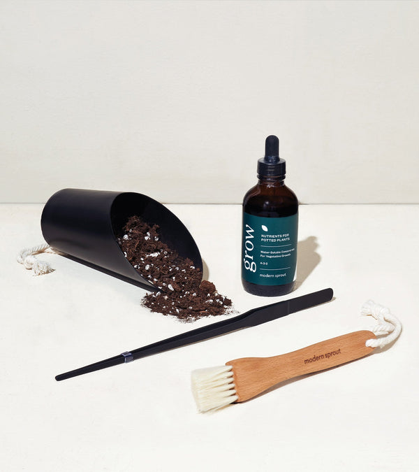 Plow & Hearth Plant Parent - Botanical Gift Box Set