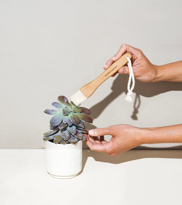 Plow & Hearth Plant Parent - Botanical Gift Box Set