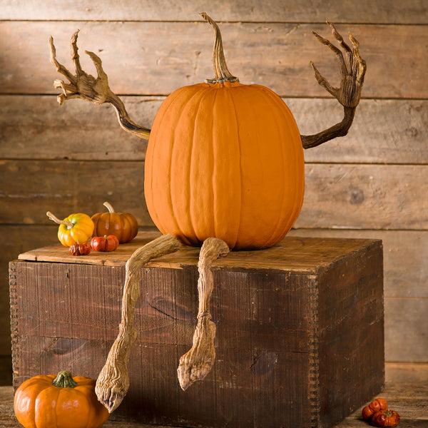 plow & hearth Posable Pumpkin Vine Arms and Legs Set