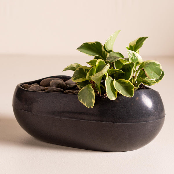 plow & hearth Roll Stone Planter