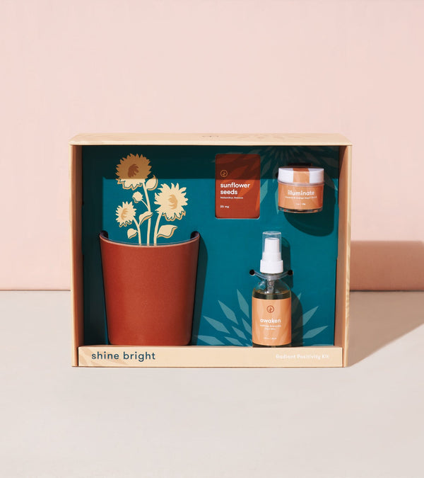 Plow & Hearth Shine Bright - Radiant Positivity Kit