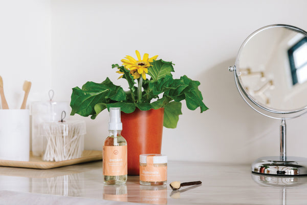 Plow & Hearth Shine Bright - Radiant Positivity Kit