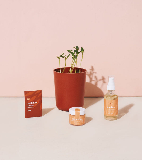 Plow & Hearth Shine Bright - Radiant Positivity Kit