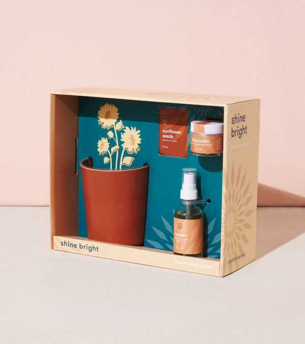plow & hearth Shine Bright - Radiant Positivity Kit