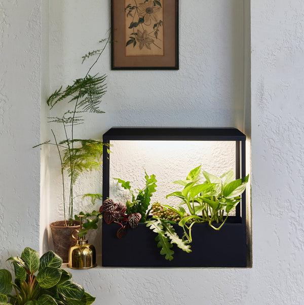 plow & hearth Smart Growhouse