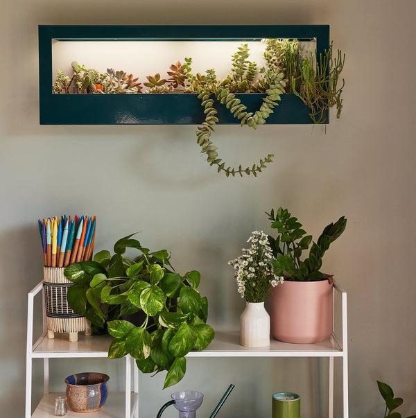 Plow & Hearth Smart Landscape Growframe