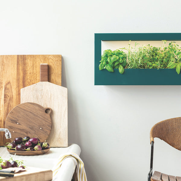 plow & hearth Smart Landscape Growframe
