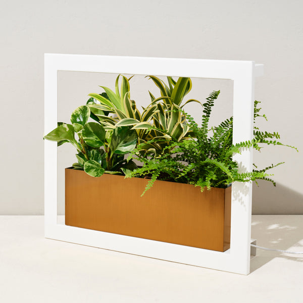 Plow & Hearth Smart Standard Growframe