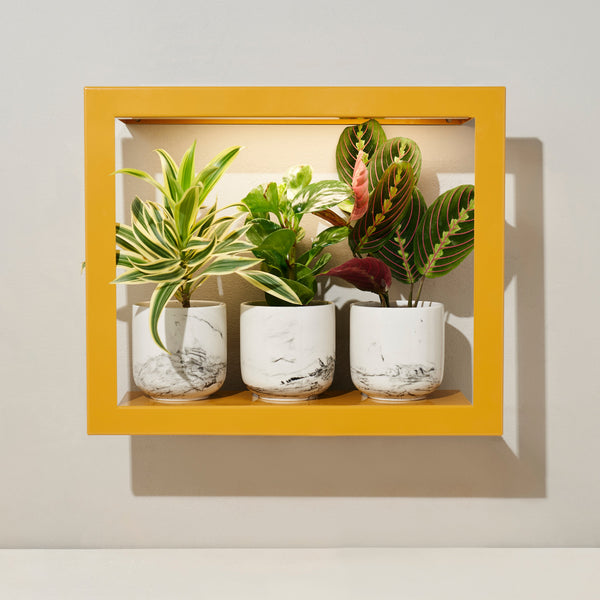 plow & hearth Smart Standard Growframe