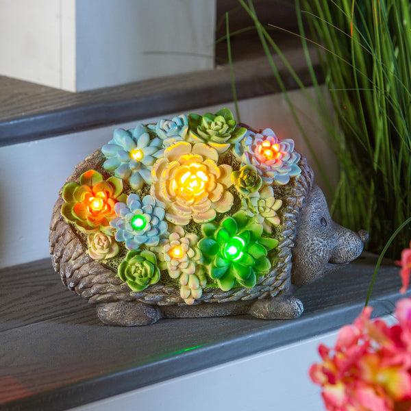 plow & hearth Solar Resin Succulent Hedgehog