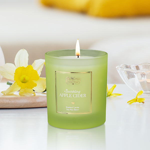 plow & hearth Sparkling Apple Cider Candle