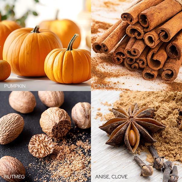 Plow & Hearth Spiced Pumpkin Creme Candle