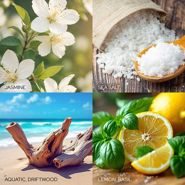 Plow & Hearth Warm Seas & Greetings Candle