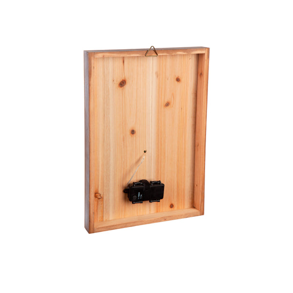 Plow & Hearth WATRING CAN WALL ART