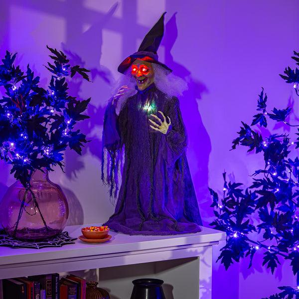 plow & hearth Witch with Movement and Sound 40"H