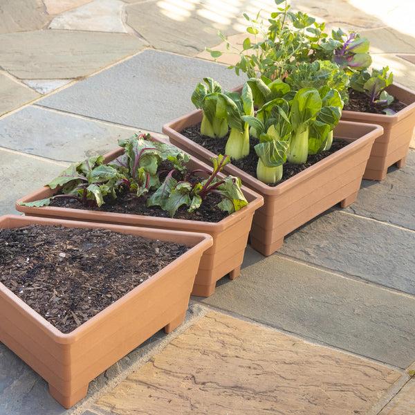 Plow & Hearth Raised Modular Conversion Planters Set Of 4