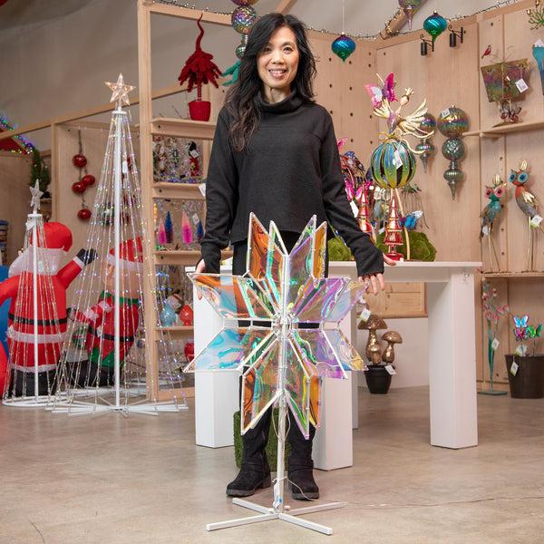 Plow & Hearth Season To Sparkle Outdoor Lamp & Lighting Statement LED Motif Snowflake 30"H