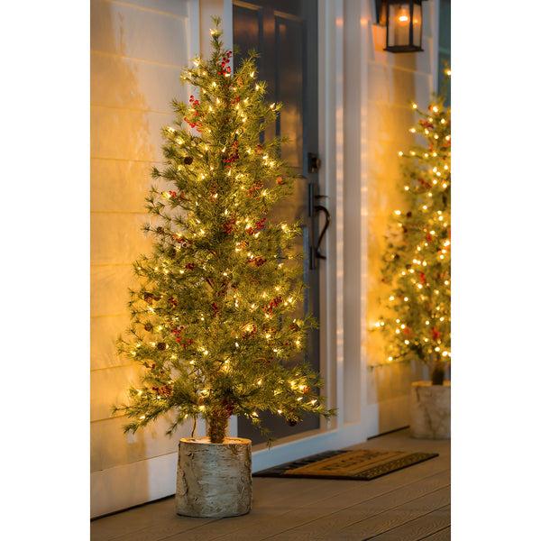 plow & hearth Shades of Emerald 60"H Lit Artificial Christmas Pine Tree with Resin Birch Pot