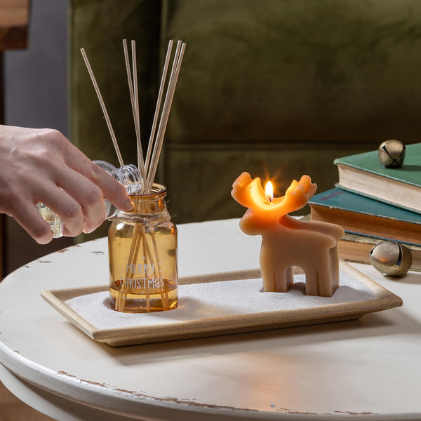 plow & hearth Shades of Emerald Candle and Diffuser Candle and Accessories Set