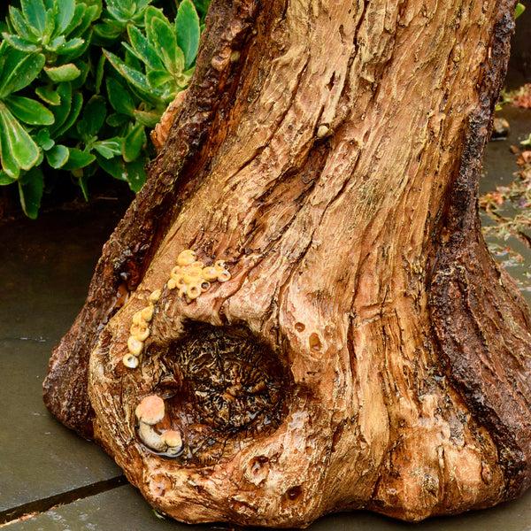 Plow & Hearth Succulent Bird Nest Tree Stump Birdbath