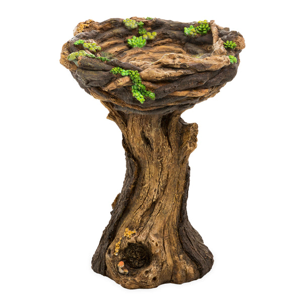 Plow & Hearth Succulent Bird Nest Tree Stump Birdbath