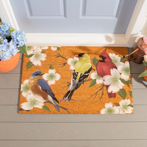 plow & hearth What She Shed Bird Bunch Coir Mat 36"x24"