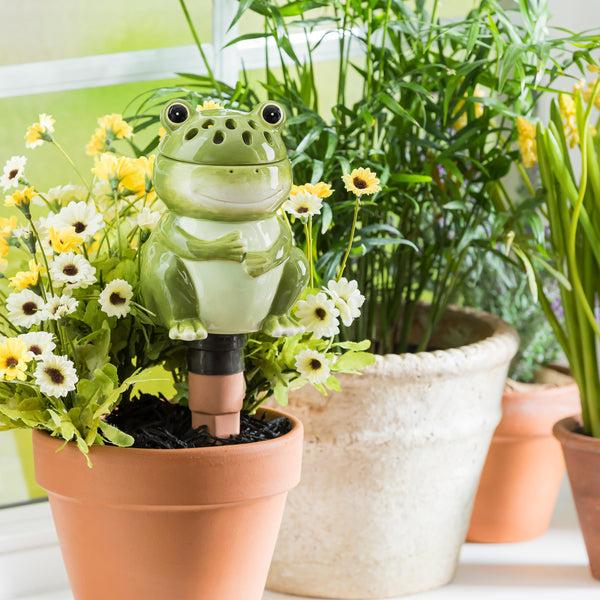 plow & hearth Whimsical Ceramic Fruit Fly/Gnat Trap with Watering Globe
