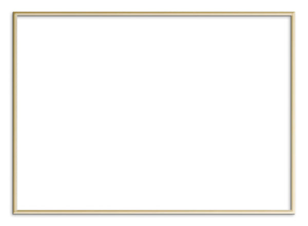 Plty Frame - Gold Aluminum