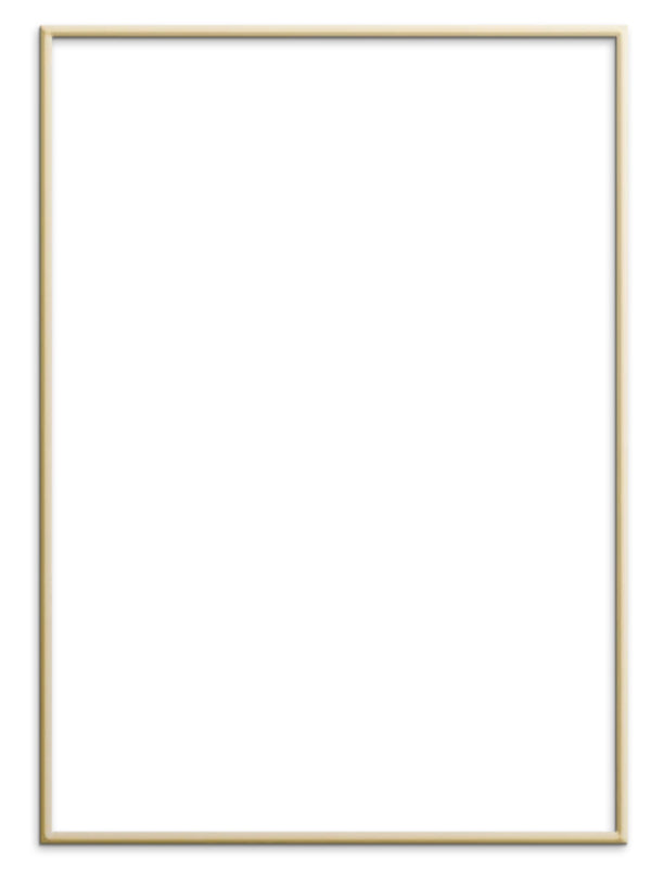 Plty Frame - Gold Aluminum