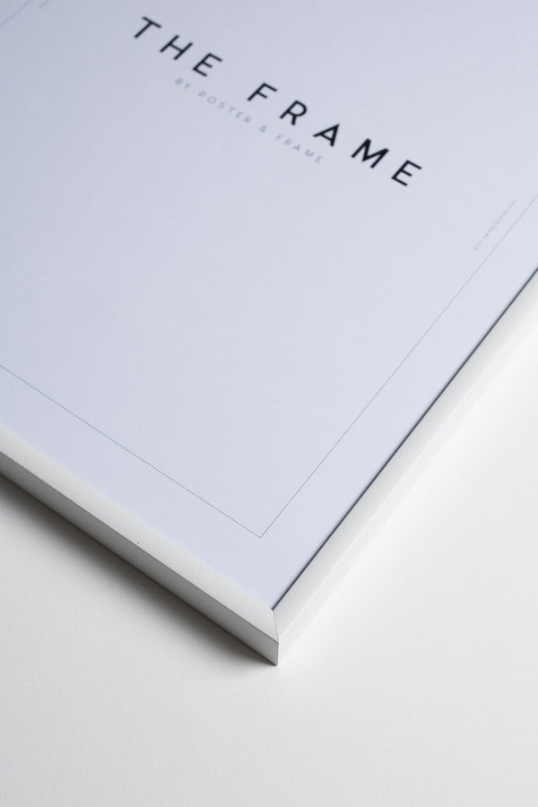 plty Frame - White Aluminum