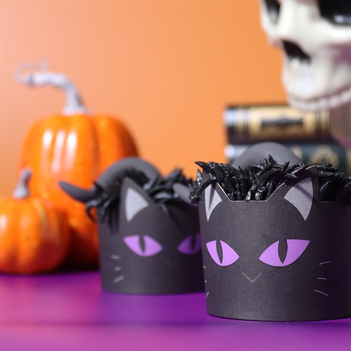 Pme Halloween Baking Cups With Cupcake Cases - Black Cat (Set Of 12)