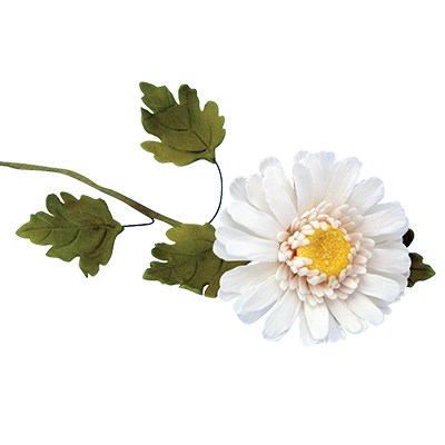 Pme JEM Floral Cutters - Chrysanthemum Daisies & Leaf Set Of 7