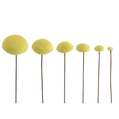 Pme JEM Floral Cutters - Daisy Centre Stamps Set Of 6