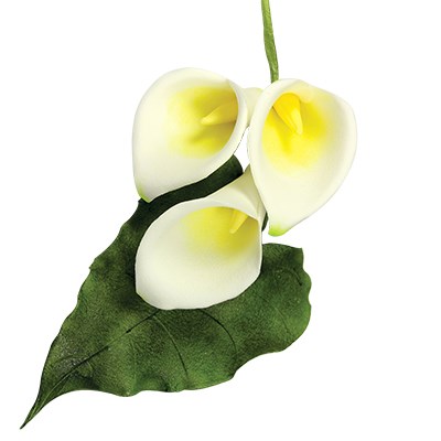 Pme JEM Floral Cutters - Life Size Arum Lily & Leaf Set Of 2
