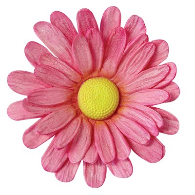 Pme JEM Floral Cutters - Medium Multi Petal Daisy Gerbera Set Of