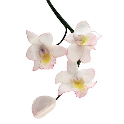 Pme JEM Floral Cutters - Small Singapore Orchid Set Of 3