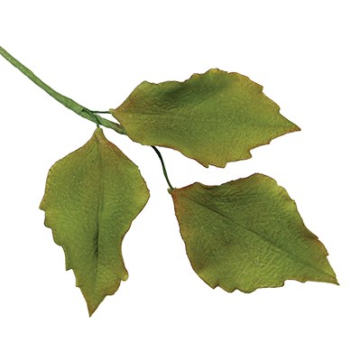 Pme JEM Foliage Cutters - Mixed Leaves Set 2 Set Of 7