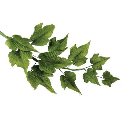 Pme JEM Foliage Cutters - Mixed Leaves Set 3 Set Of 7