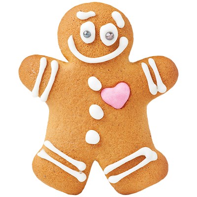Pme Cookie & Cake - Gingerbread Man Set Of 2