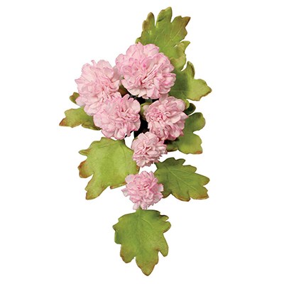 Pme Floral Cutters - S/M/L Carnation Set Of 3
