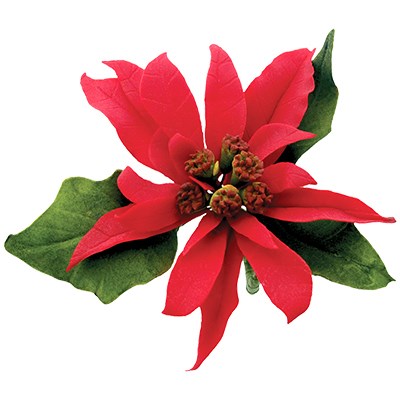 Pme JEM Christmas Cutters - Poinsettia Set Of 10