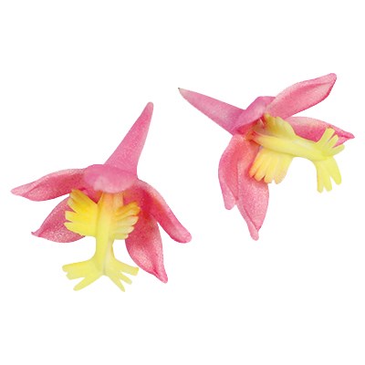 Pme JEM Floral Cutters - Poor Man's Orchid Set Of 2
