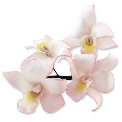 Pme JEM Floral Cutters - Singapore Orchid Set Of 5