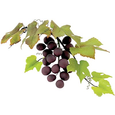 Pme JEM Foliage Cutters - Grape Vine Leaves Set Of 4