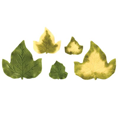 Pme JEM Foliage Cutters - Large Ivy Set Of 4