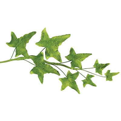 Pme JEM Foliage Cutters - Pointed Ivy Set Of 4