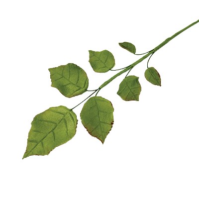 Pme JEM Foliage Cutters - Small Rose Leaves Set Of 4