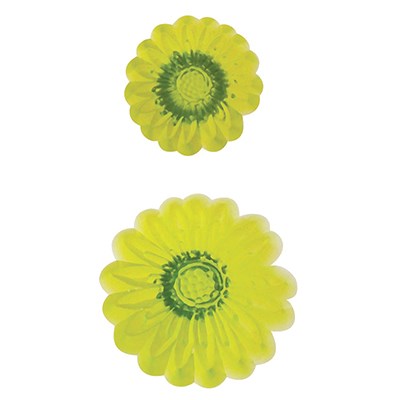 Pme JEM Novelty Cutters - Embossed Daisy Set Of 2