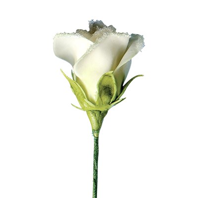 Pme JEM Rose Cutters - Petals And Calyx Set Of 8